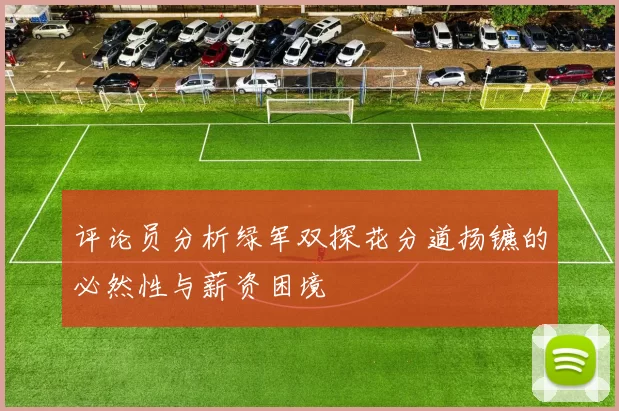 评论员分析绿军双探花分道扬镳的必然性与薪资困境