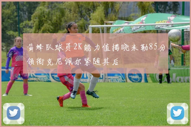 黄蜂队球员2K能力值揭晓米勒85分领衔克尼佩尔紧随其后